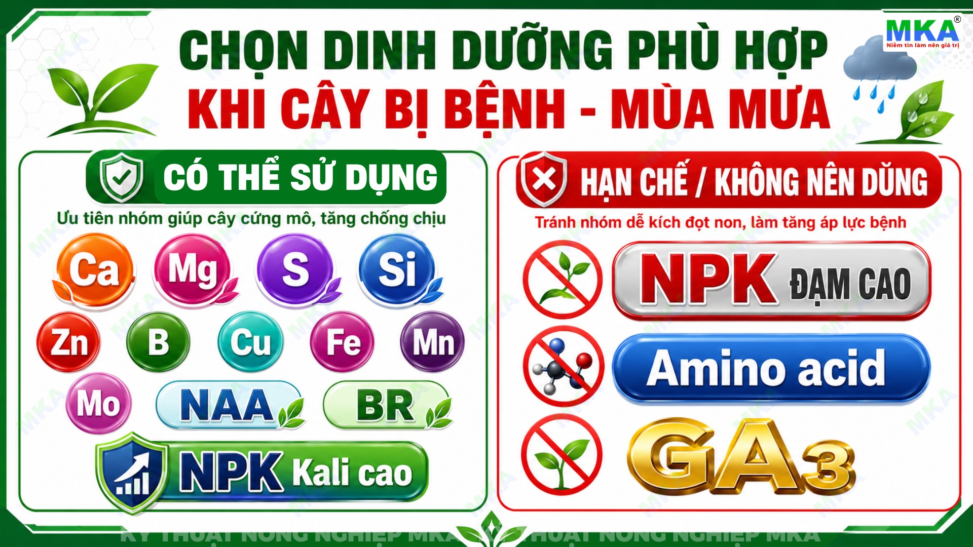 Sử dụng phân bón cho cây đang bệnh